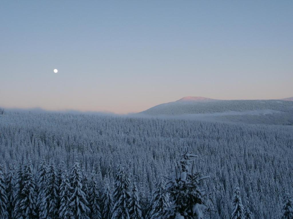 Horska Chata Sedmidoli Hotel Spindleruv Mlyn Bagian luar foto